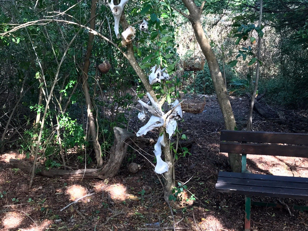 Hofi Pastor-Barber必去景点