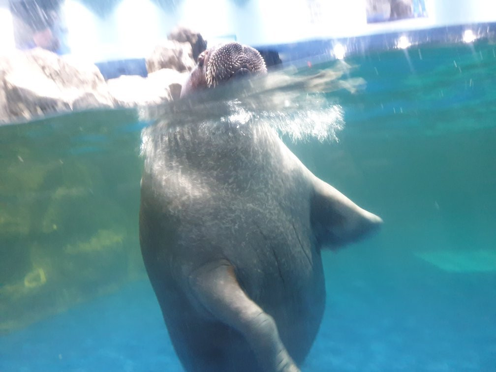 Hanwha Aqua Planet Ilsan-高阳市必去景点