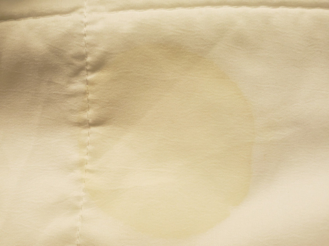 Quality Inn & Suites主图