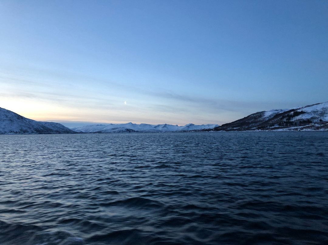 Lady Elsie Tromso - Sea fishing & Whale watching-特罗姆瑟必去景点