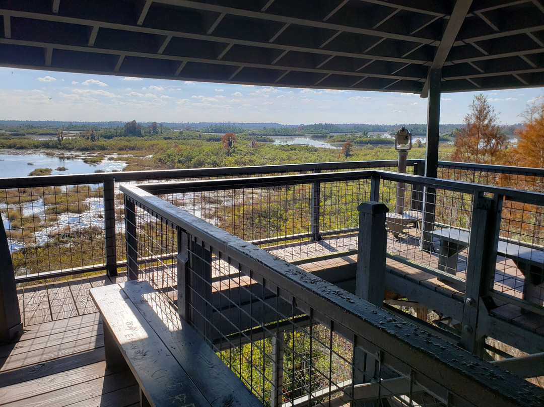 Chesser Island Homestead/Boardwalk-Folkston必去景点