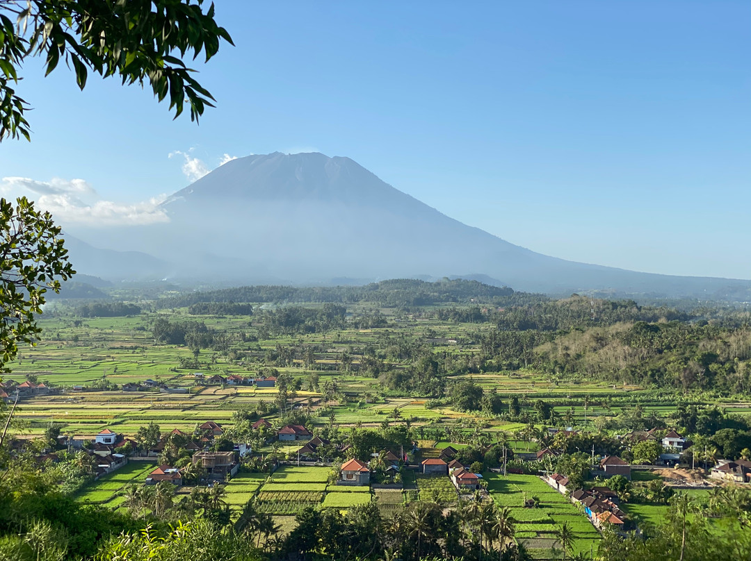 Bali Drive Service-乌布必去景点