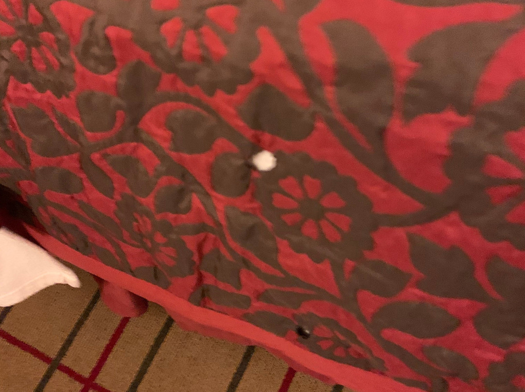 SpringHill Suites by Marriott Pittsburgh Airport主图