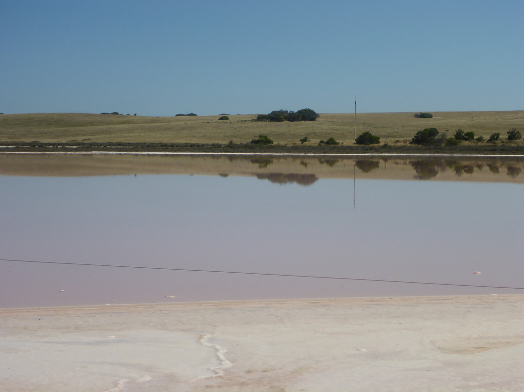 Pink Lake-Meningie必去景点