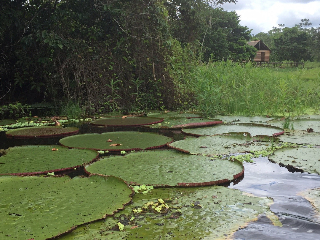 Rio Crôa-Cruzeiro do Sul必去景点