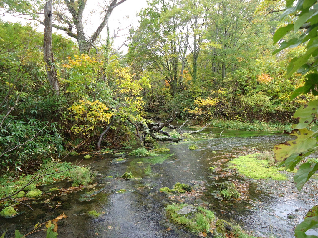 Gudari Swamp-青森市必去景点