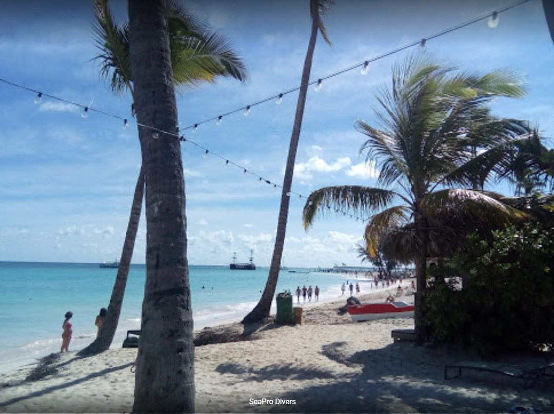 SeaPro Divers-普拉塔港必去景点