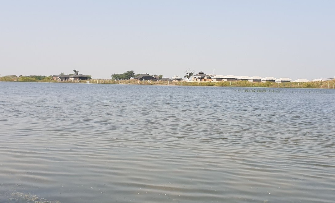 Sambhar Salt Lake-Kuchaman必去景点