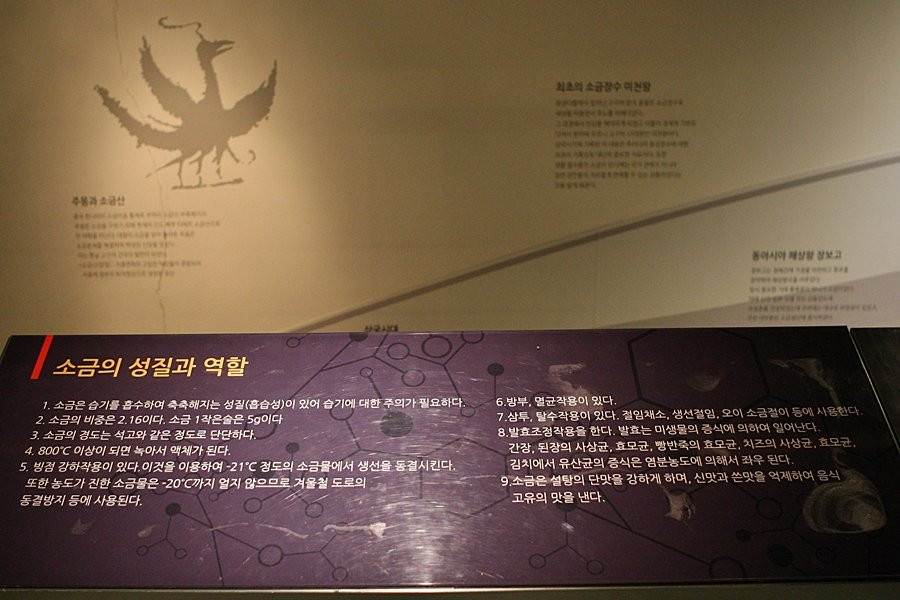 Salt Museum-新安郡必去景点