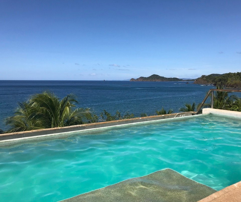 La Gaviota Tropical主图