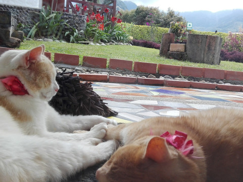 Coliving la Boira主图