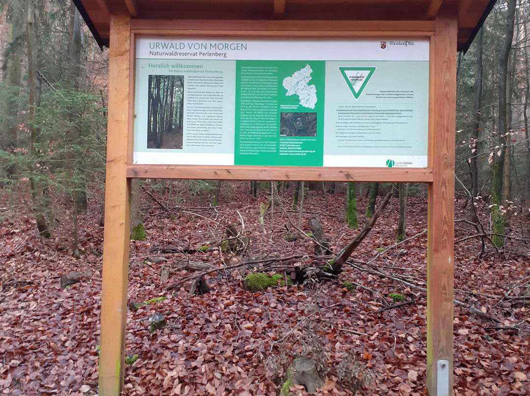 Burgruine Perlenberg-Bann必去景点