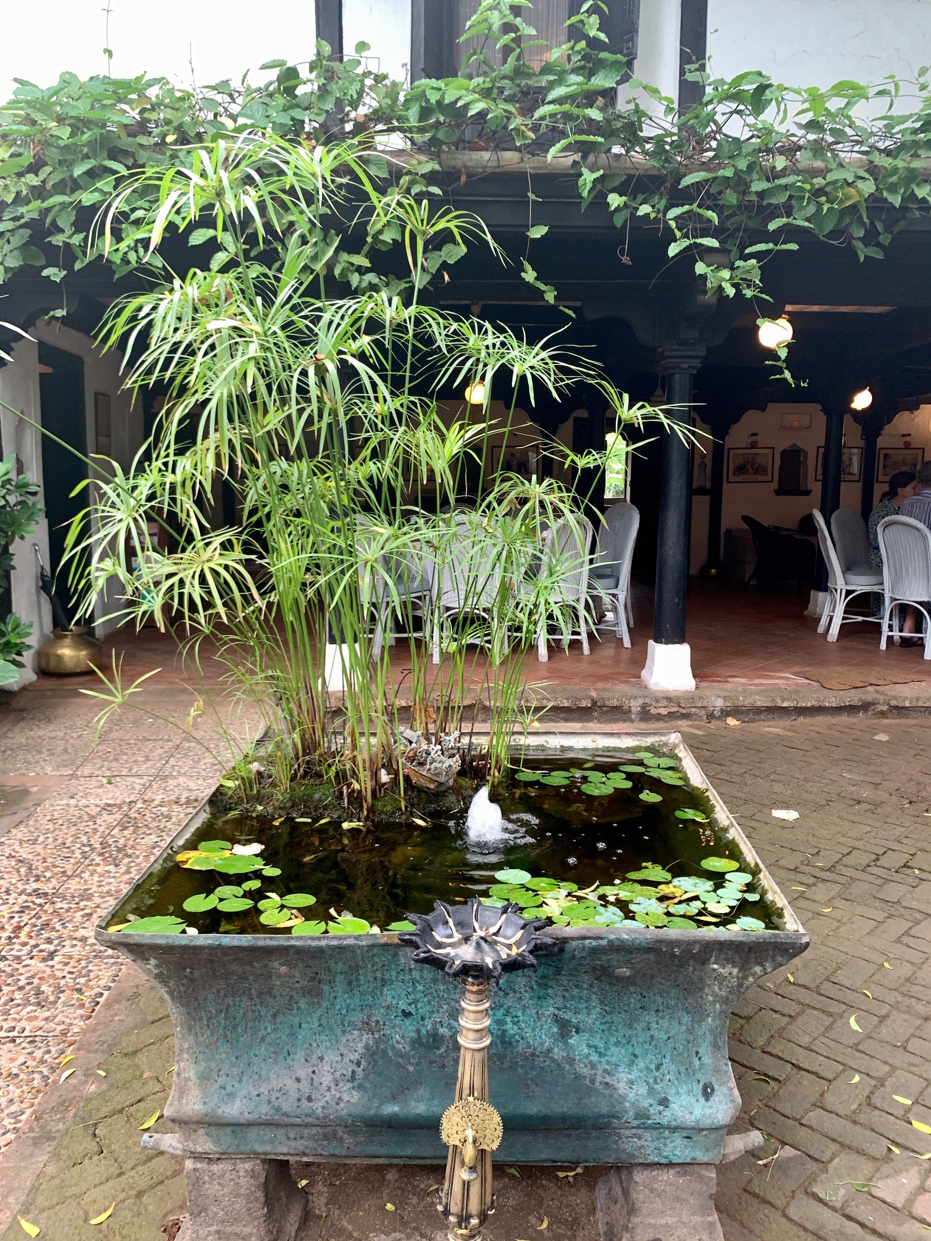 Ahilya Fort-浴室