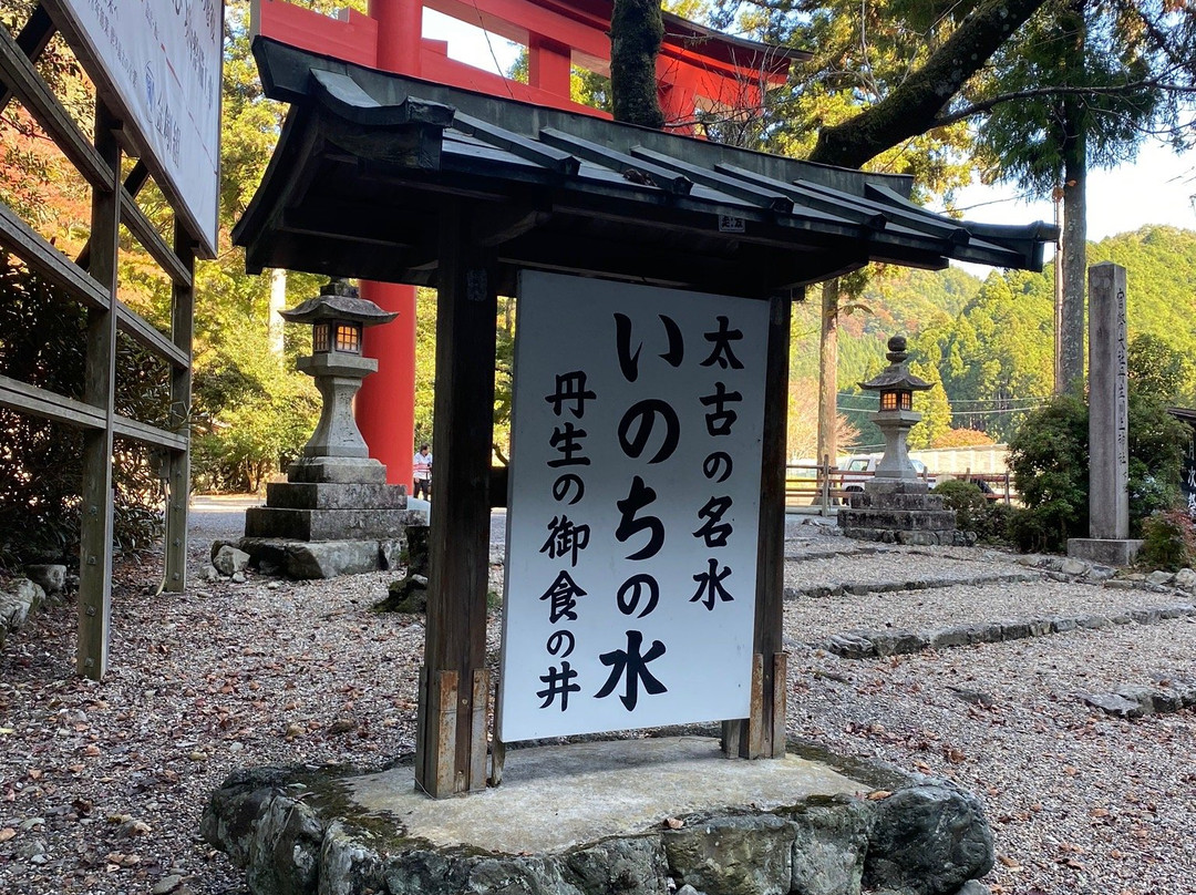 Niukawakami Shrine Shimosha景点图片