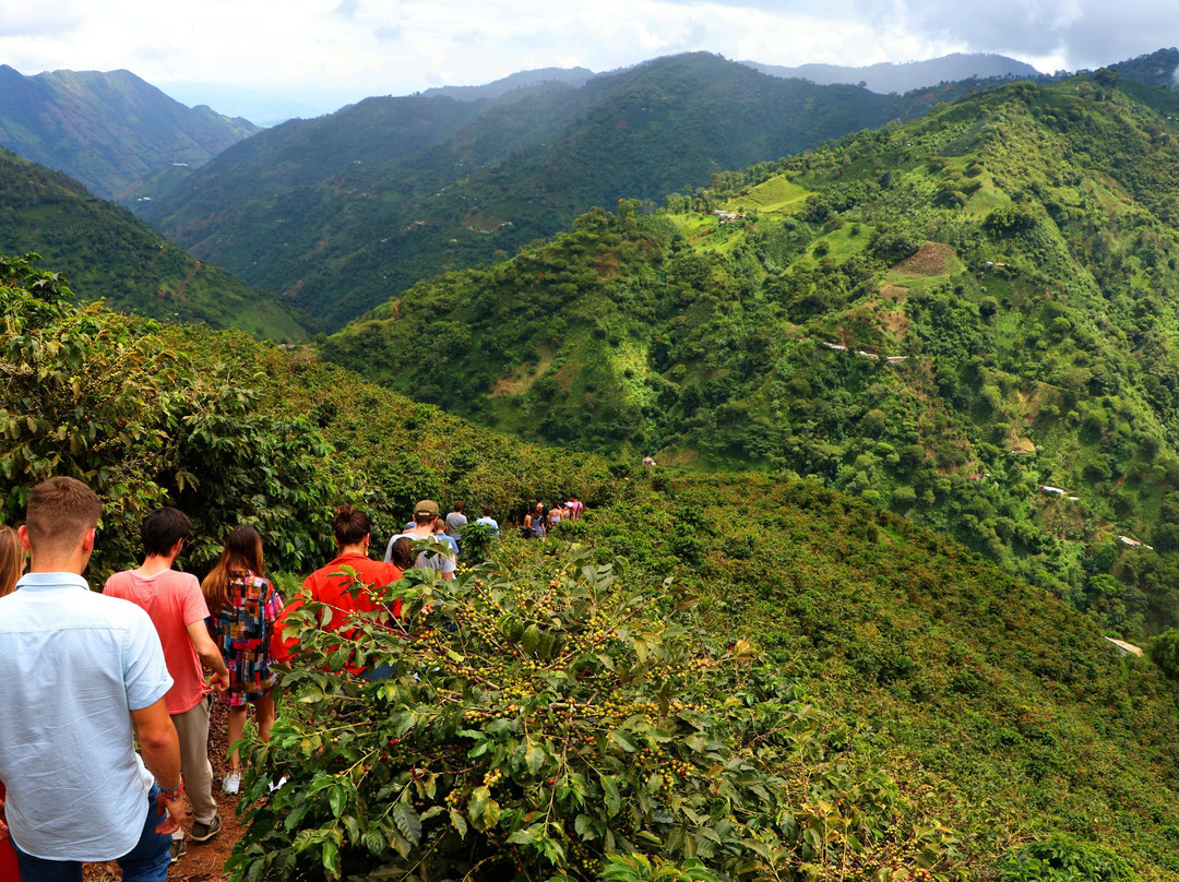 Coffee Tours - Finca La Manchuria-Salgar必去景点