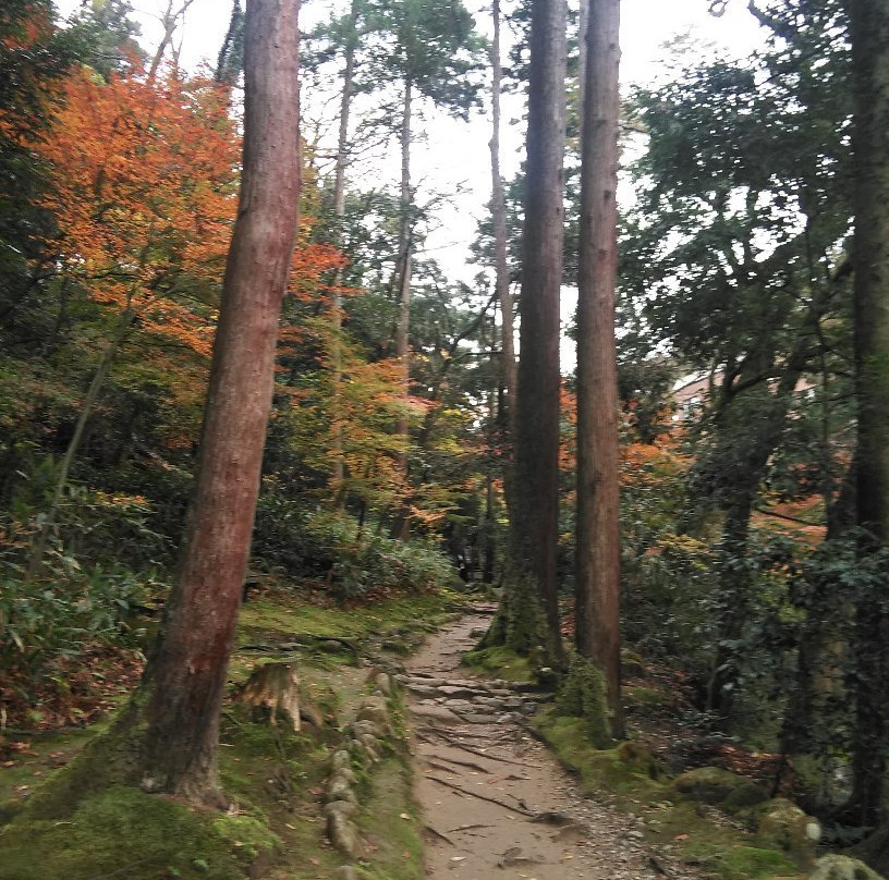 鹤仙溪景点图片