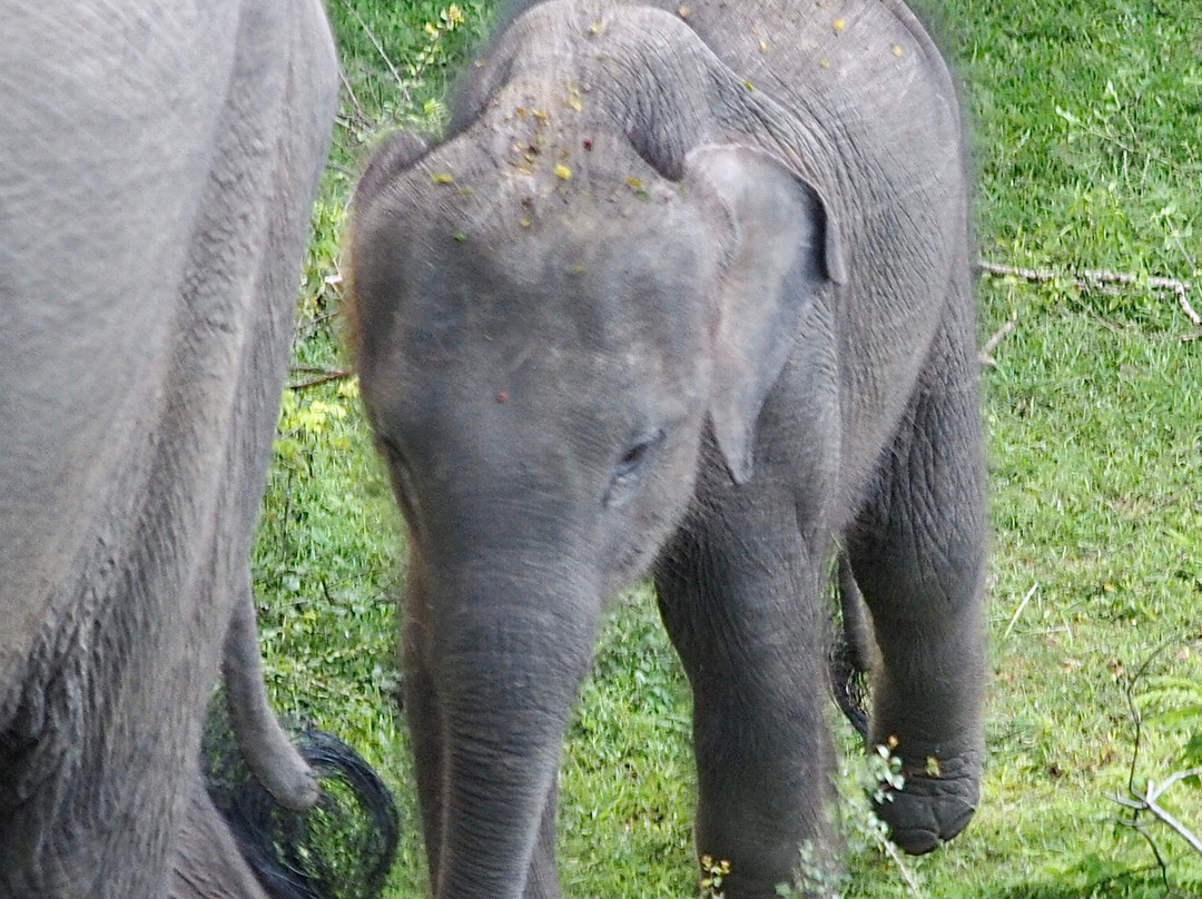 Why Not Sri Lanka-科伦坡必去景点