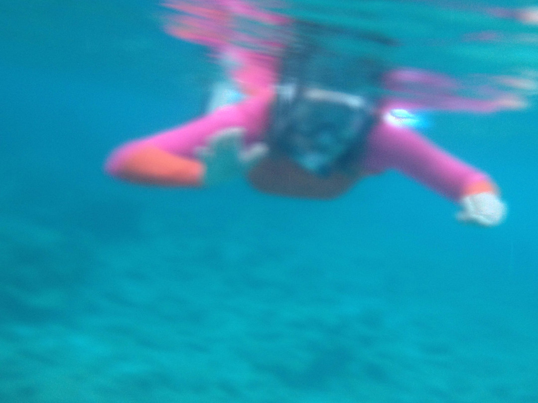 Coral Paradise Resort主图