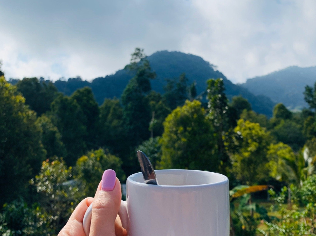 The Kubu Galungan主图