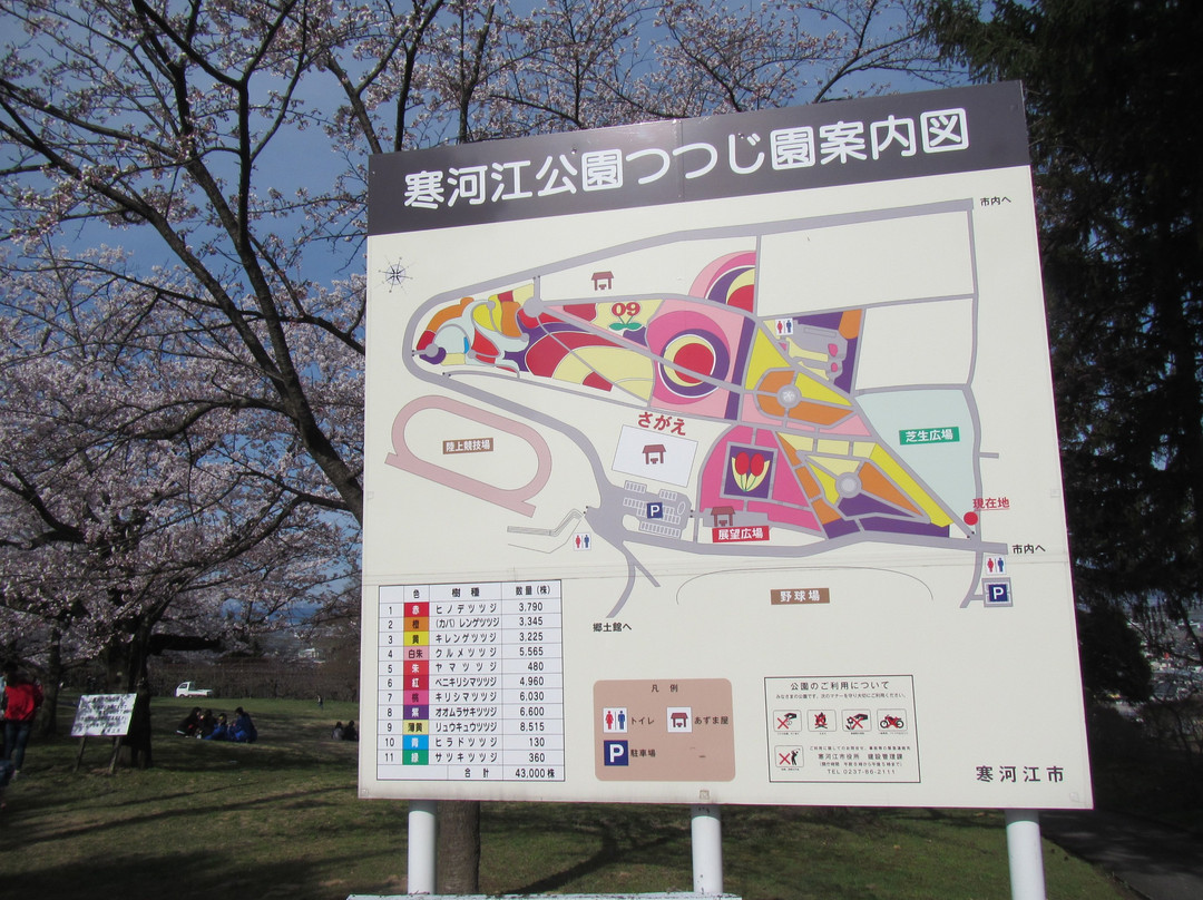 Sagae Park-寒河江市必去景点