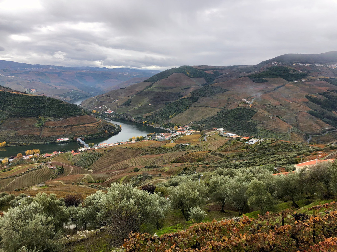 Douro Best景点图片
