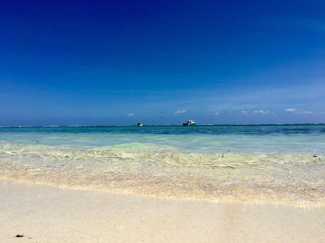 维瓦岛度假酒店主图