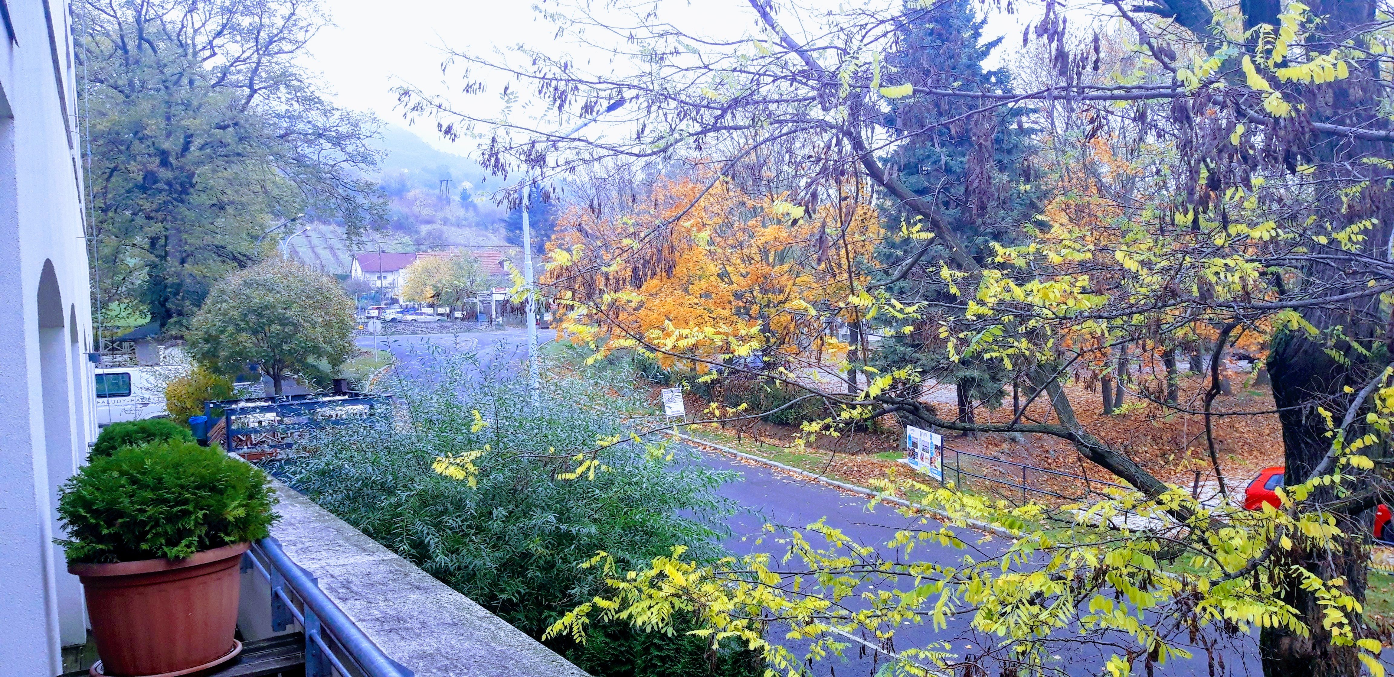 Hotel Bonvino Wine and Spa Badacsony-酒店景观