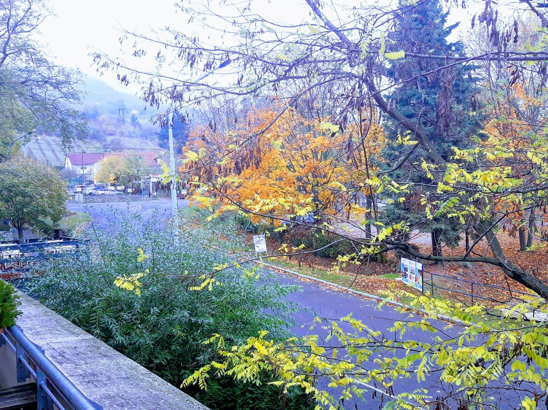 Hotel Bonvino Wine and Spa Badacsony主图