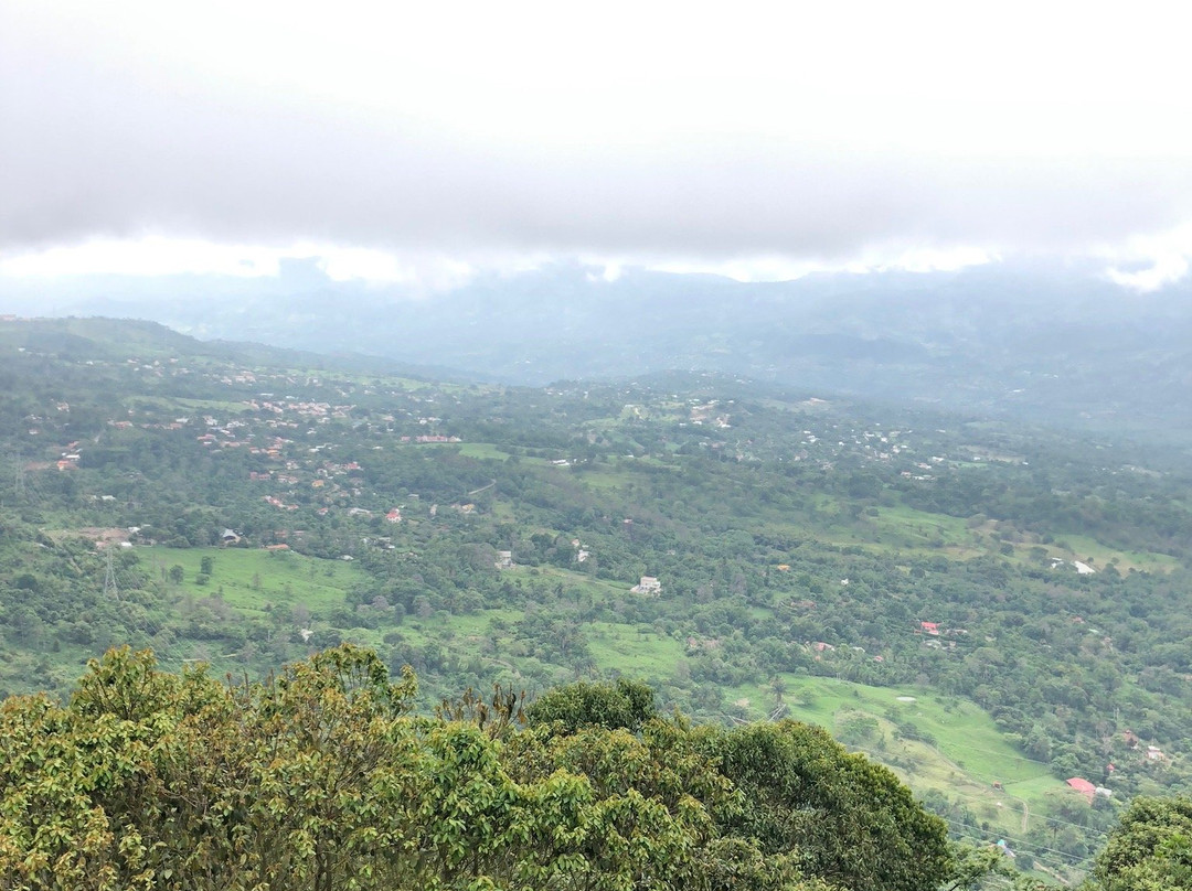 Macadamia Bosque Aventura景点图片