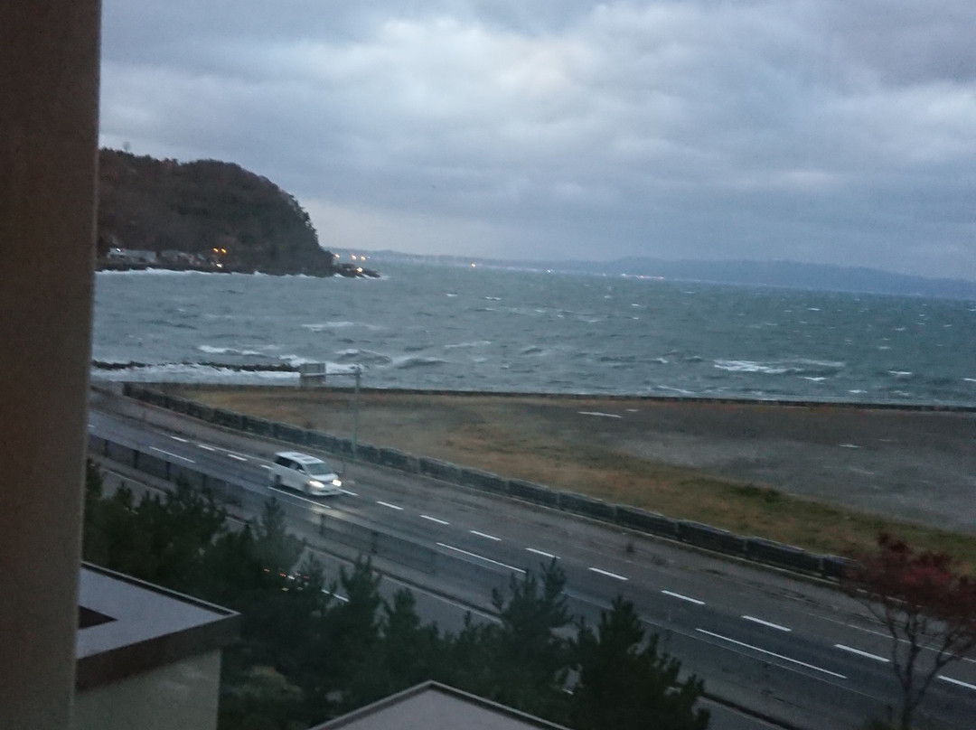 海扇阁主图