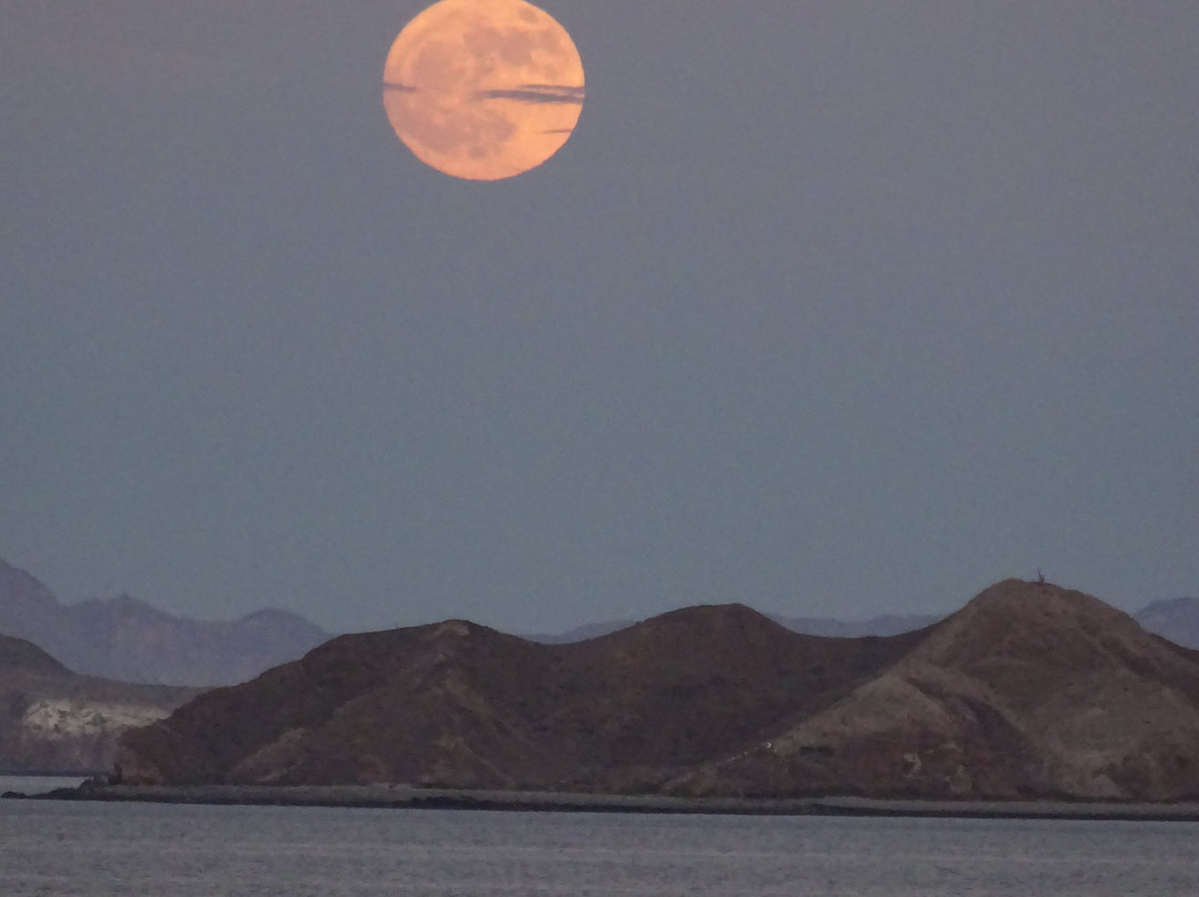 Bahia de Los Angeles景点图片
