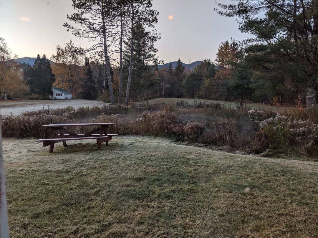 斯托尼布鲁克汽车旅馆&小屋酒店主图