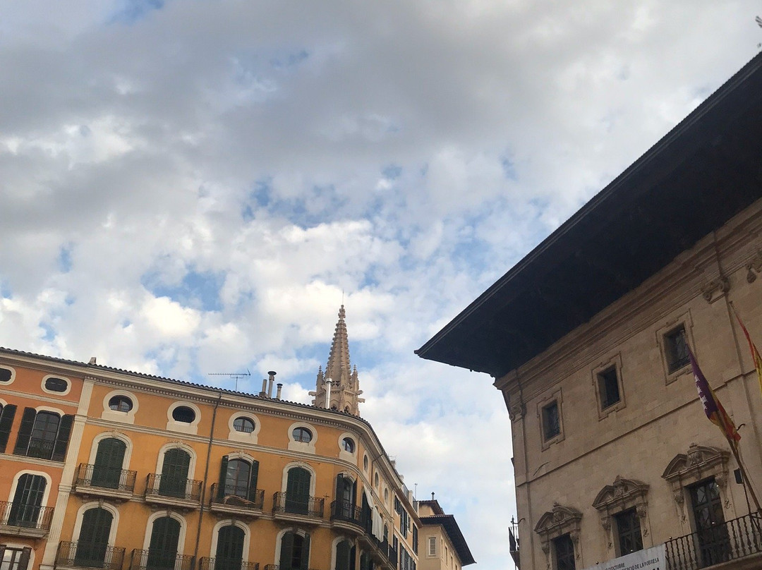 Plaça de Cort景点图片