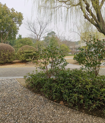 金山滨海公园-上海市必去景点