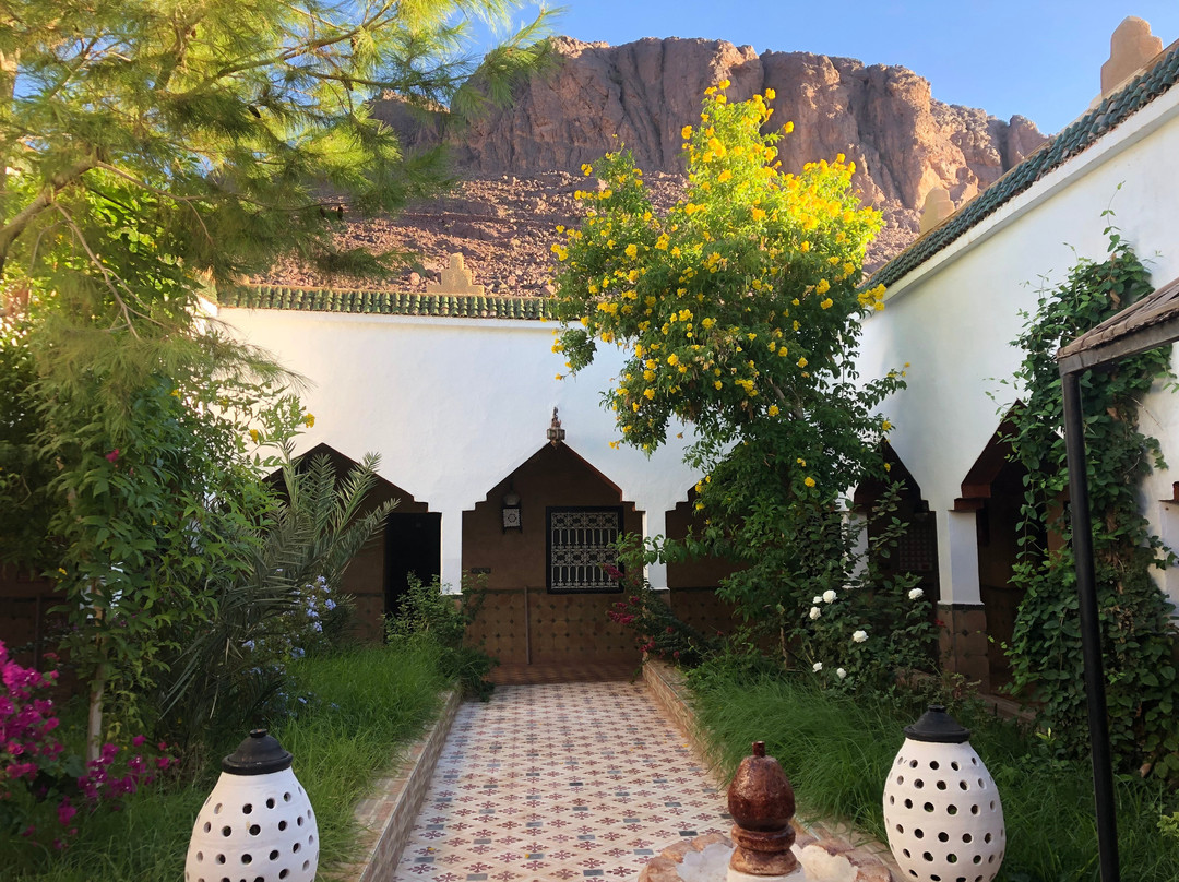 特蕾萨德里斯住宿加早餐旅馆主图