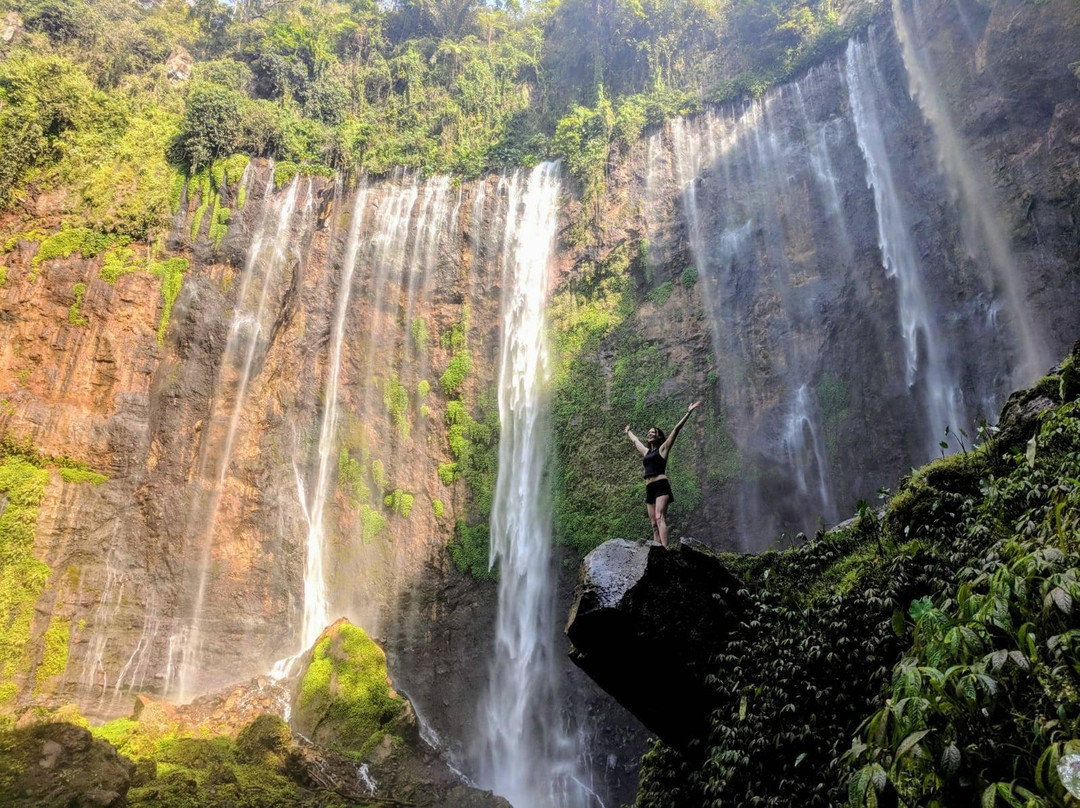 Java Exotica Tour - Day Tour景点图片