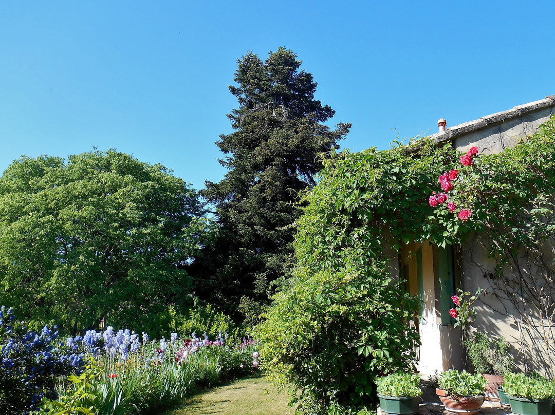 Le Pis Saint-Jean Duplex