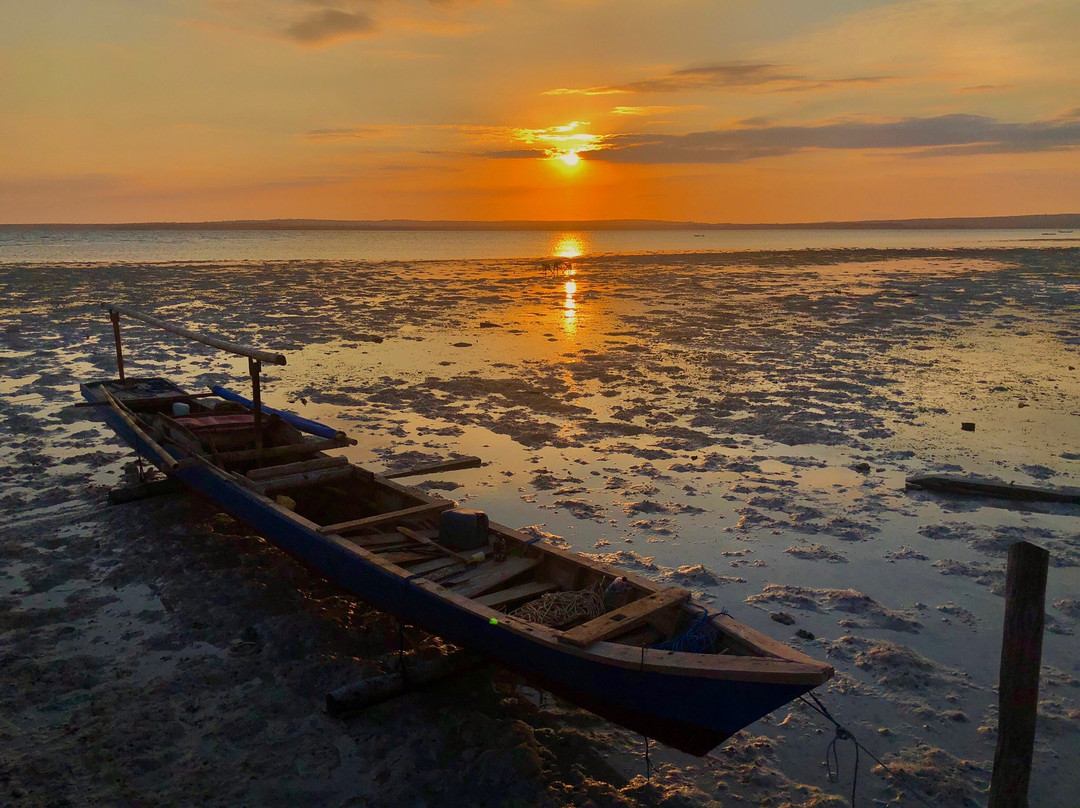 Sulawesi Dive Trek景点图片