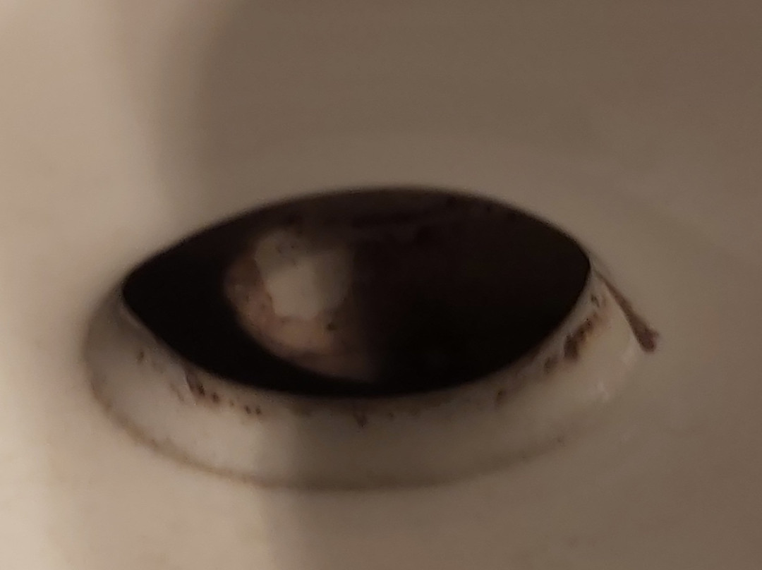 Willowbrook Cottage主图