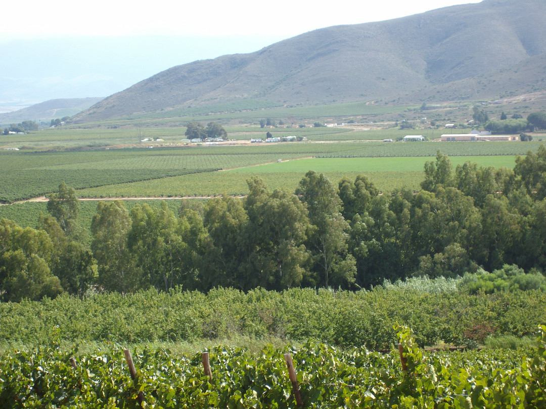 Arendsig Single Vineyard Wines景点图片