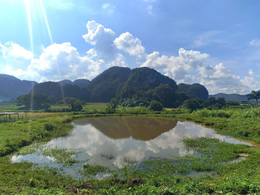 Villa Coco Solo主图