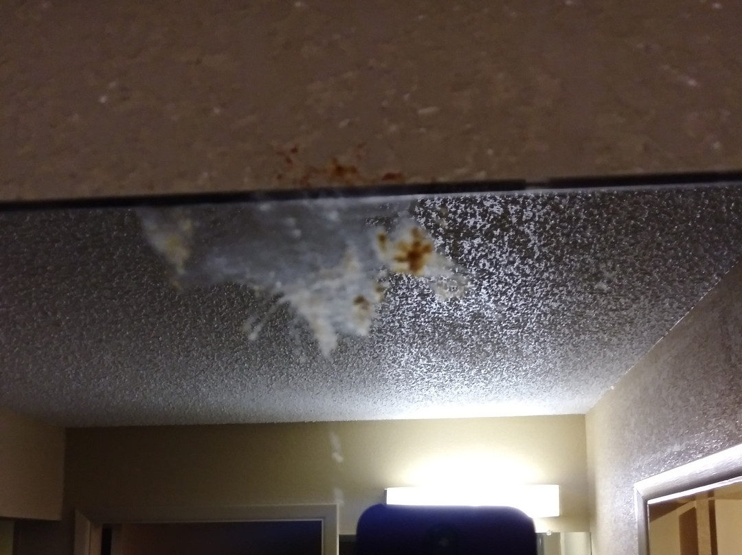 Cerulean Hotel主图