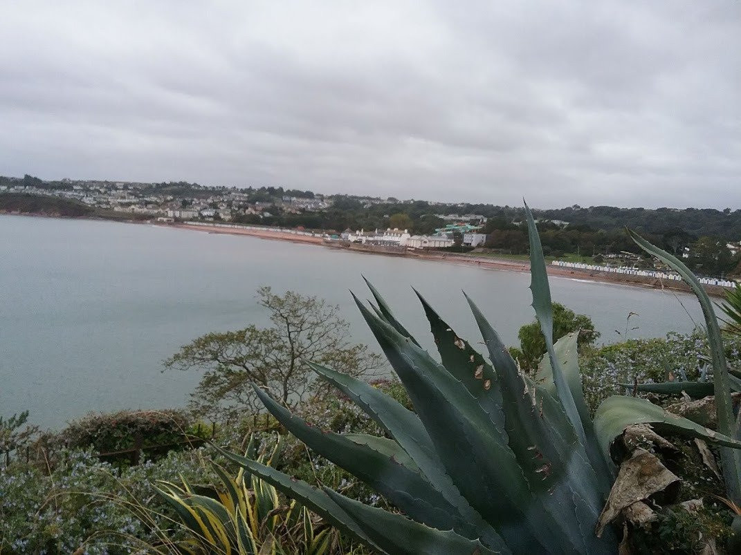 Roundham Head - South West Coast Path Walk-佩恩顿必去景点