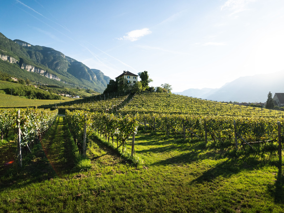 Castelfelder Tourism Association景点图片