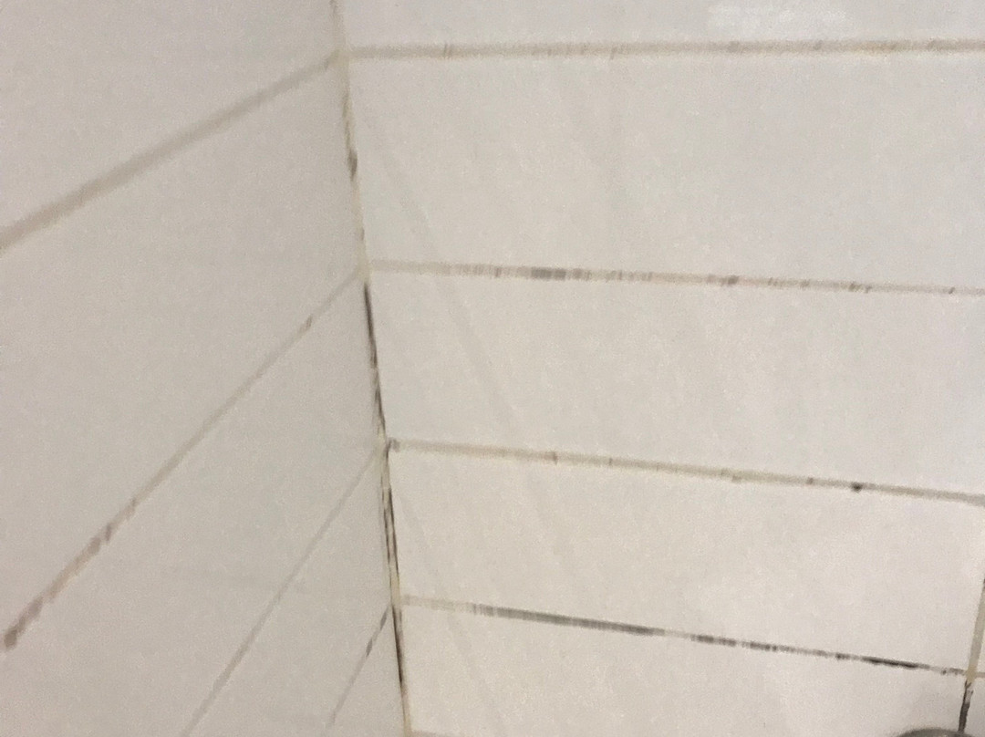 Kuwait Continental Hotel主图