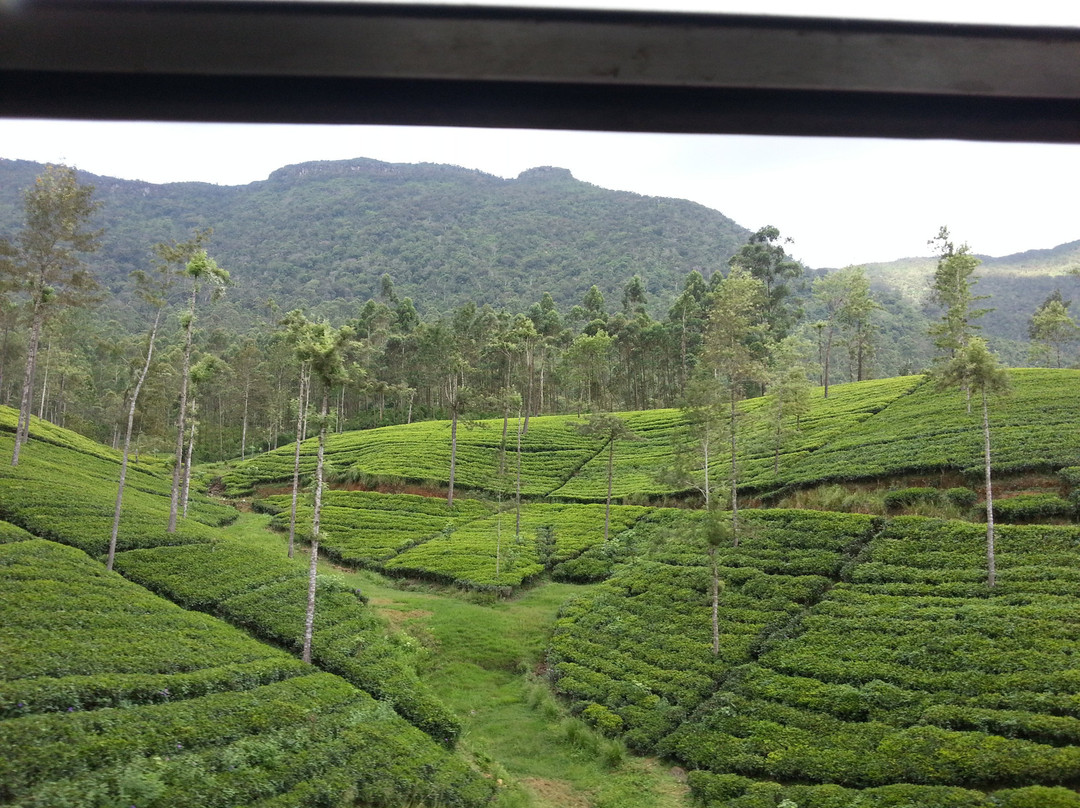 Ceylon Bell Travels景点图片