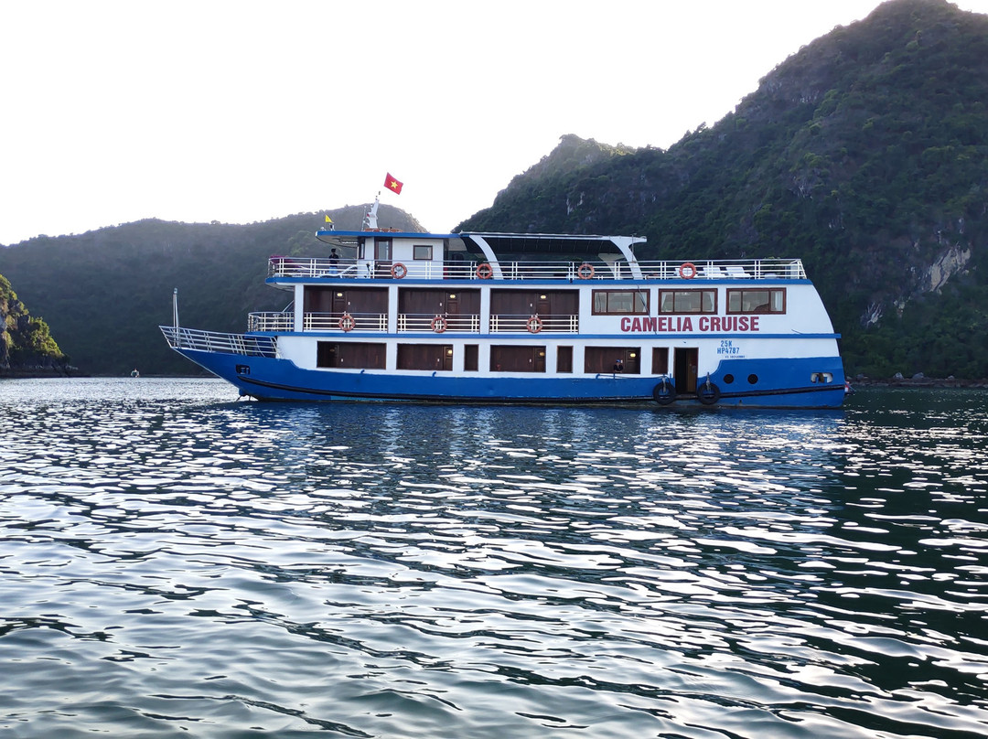 Camellia Cruise-团洲岛必去景点