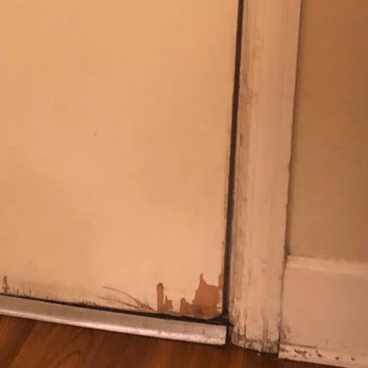 Merry Acres Inn主图