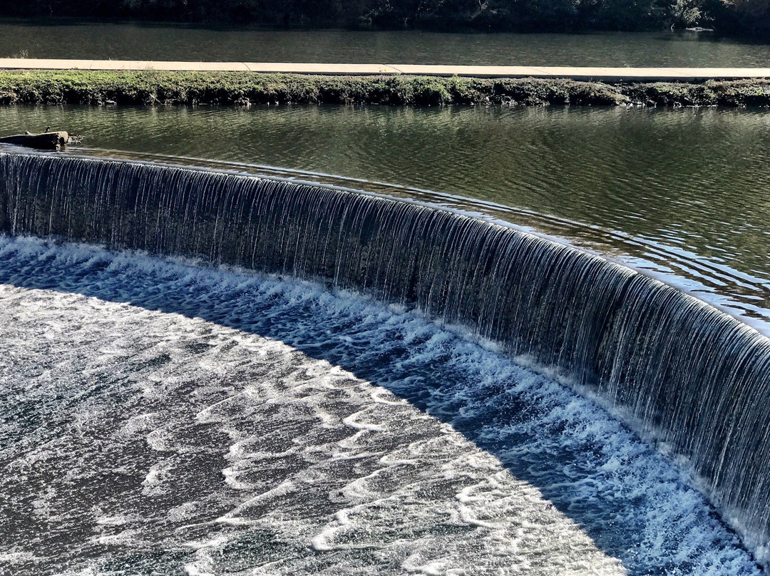 Washington Park-斯普林菲尔德必去景点