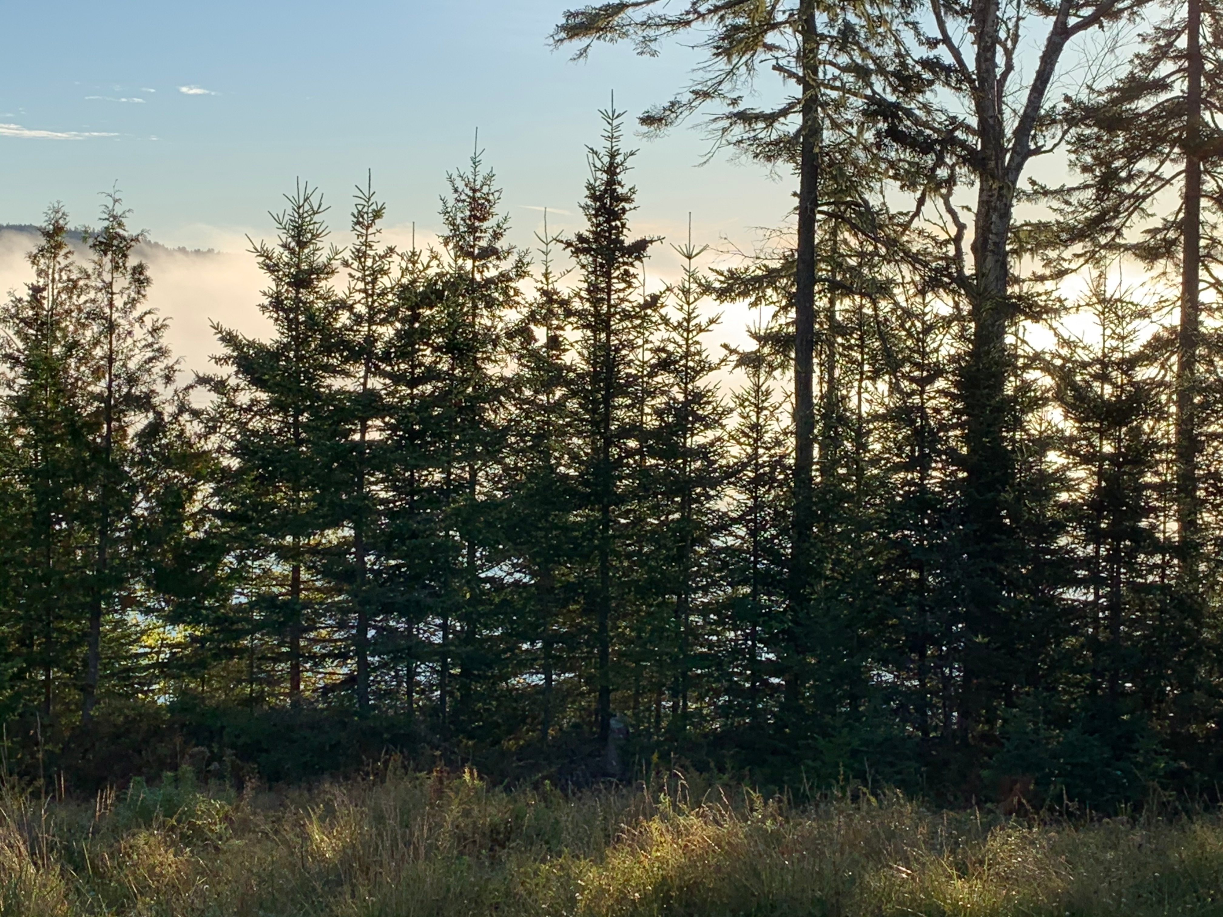 Three Pines Bed & Breakfast and Farm-浴室